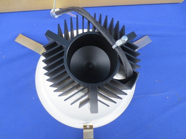 ダウンライトφ200(2個入)(ナチュラルホワイト) GSTD0007WA-40K200