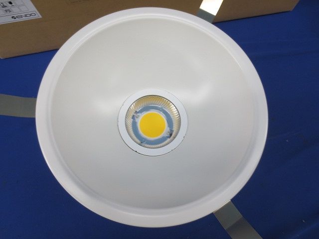 ダウンライトφ200(2個入)(ナチュラルホワイト) GSTD0007WA-40K200