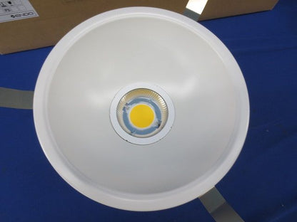 ダウンライトφ200(2個入)(ナチュラルホワイト) GSTD0007WA-40K200