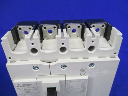 ノーヒューズブレーカー4P125A NF250-SV