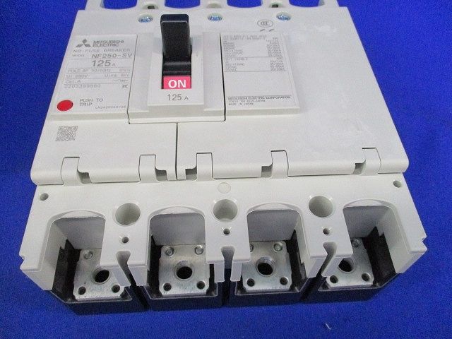 ノーヒューズブレーカー4P125A NF250-SV