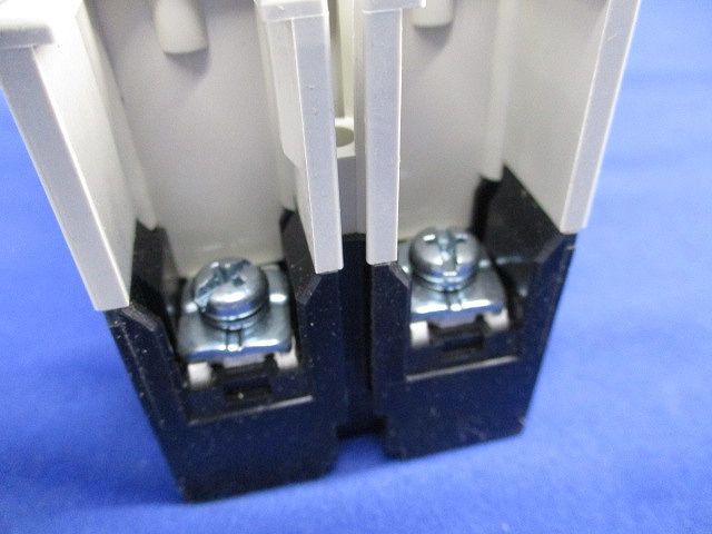 ノーヒューズブレーカ2P15A　NF63-SV