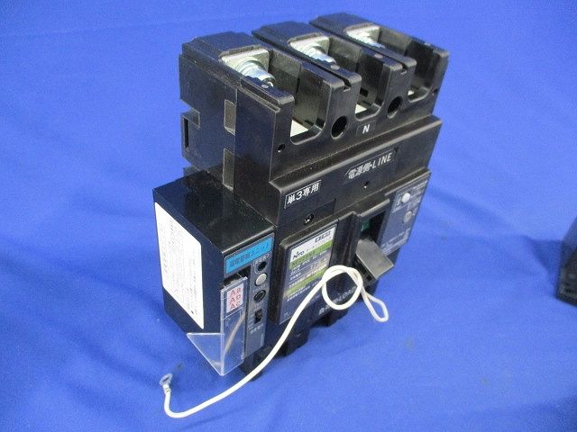 サーキットブレーカ 3P2E175A(単3中性線欠相保護付) NE228NA