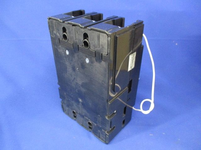 サーキットブレーカ 3P2E175A(単3中性線欠相保護付) NE228NA