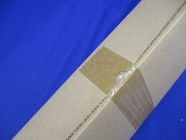 非常用ＬＥＤライトバー 5000ｋ 非調光 電源内蔵 本体別売 NNL4605GNLE9