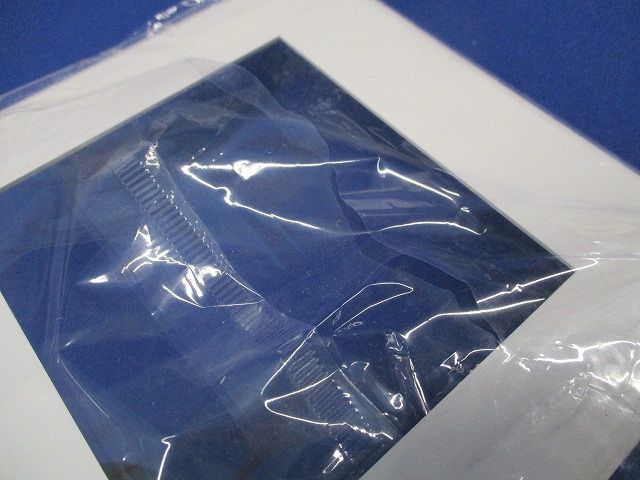 プレート2連接穴用(ニューホワイト)(5枚入)(新品未開封) WDG5441