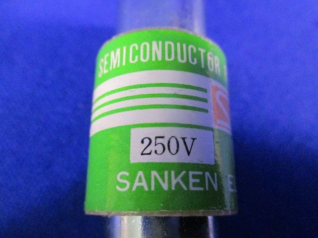 ヒューズ(2個入) 250V15A