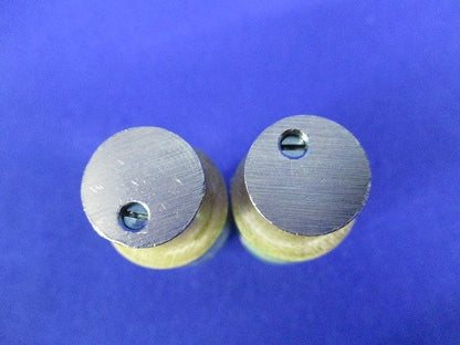 ヒューズ(2個入) 250V15A
