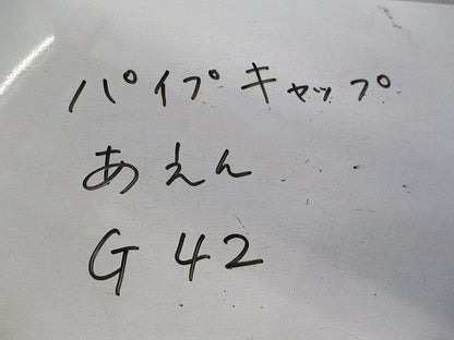 パイプキャップ 亜鉛 G42