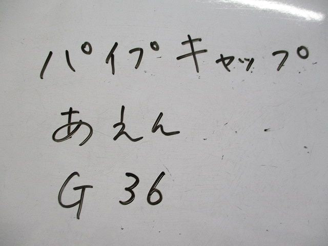 パイプキャップ 亜鉛(2個入) G36