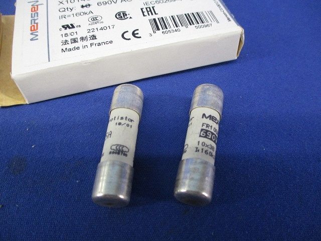 ヒューズ(2個入) FR10GR69V5