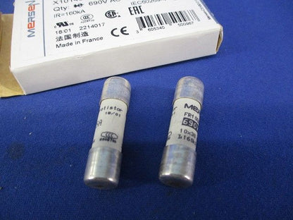 ヒューズ(2個入) FR10GR69V5