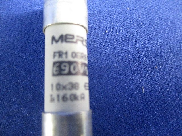 ヒューズ(2個入) FR10GR69V5