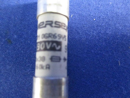 ヒューズ(2個入) FR10GR69V5