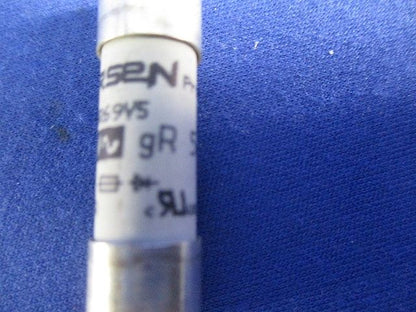 ヒューズ(2個入) FR10GR69V5