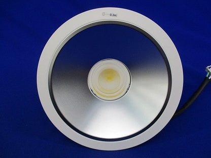 LEDダウンライトφ175(昼白色) NDN48705S