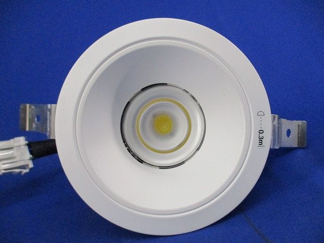 LEDダウンライトφ100(昼白色) NDN28305W