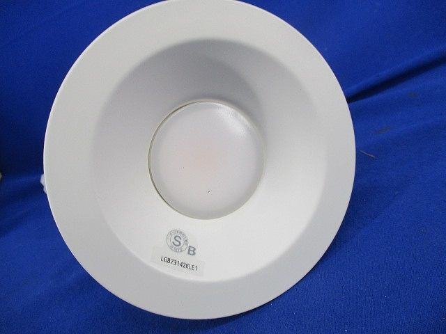 LEDダウンライトφ100(電球色) LGB73142KLE1