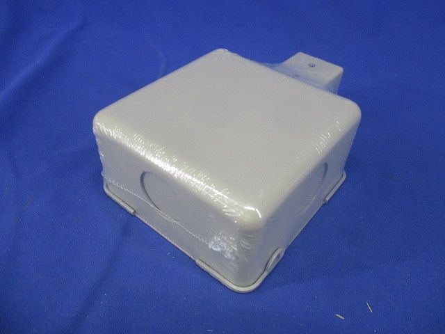 分岐ボックス 標準色塗装 P-DB2E