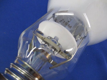 LEDライトバルブ E26 LDS19L-G/G