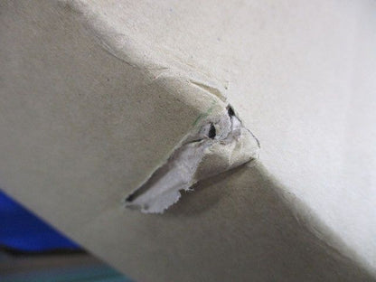 LED非常用ベースライト 一体型階段灯(昼白色)(24年製)(新品未開梱) NNCF42235LE9