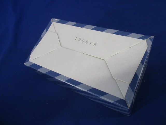 アドバンスタッチ ダブルスイッチ(受信器) マットホワイト WTY5302W