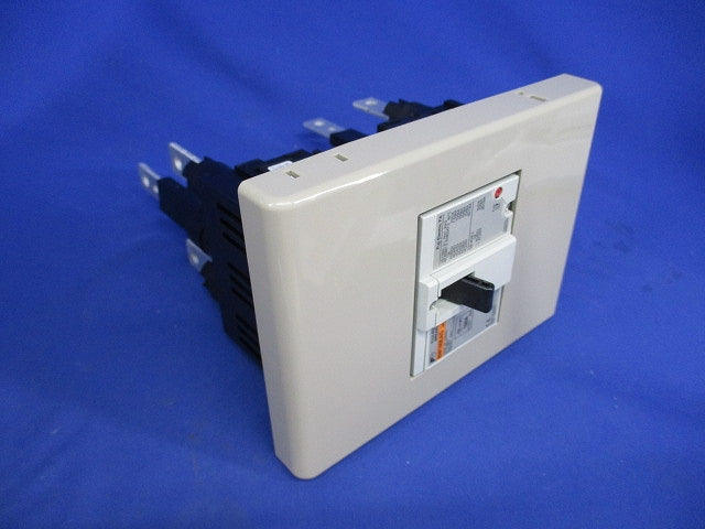 オートブレーカ3P100A BW100EAG