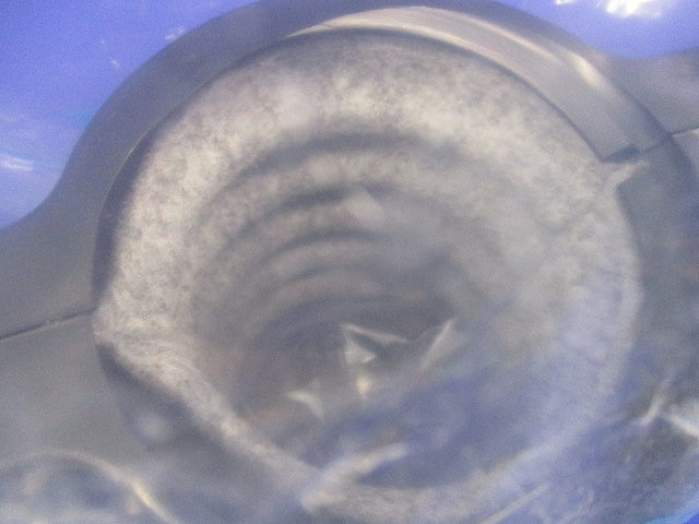 ハイジョイントアクア(新品未開封) φ65