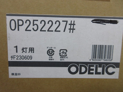 LEDペンダントライト(昼白色)(点灯試験済) OP252227LR