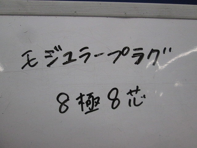 モジュラープラグ8極8芯(30個入) 型番不明