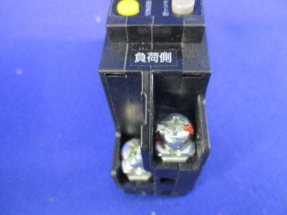 漏電遮断器 2P1E30A GBN-51
