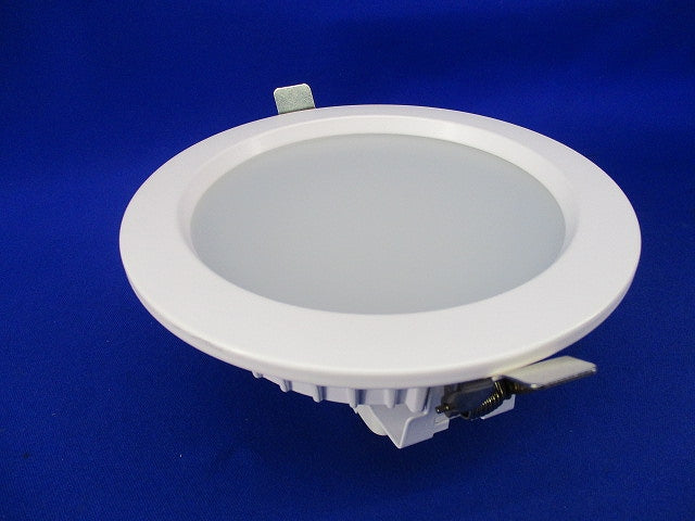 LED power supply AP-DL-150-1521