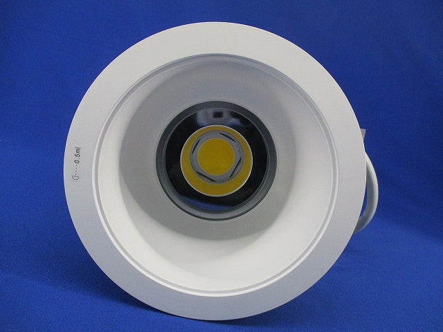 LEDダウンライトφ150(昼白色) NDN97655WZ