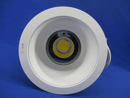 LEDダウンライトφ150(昼白色) NDN97655WZ