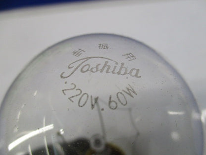 耐震電球(14個入) 220V60W