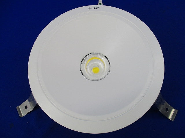 LEDダウンライトφ175(昼白色) NDN28705W