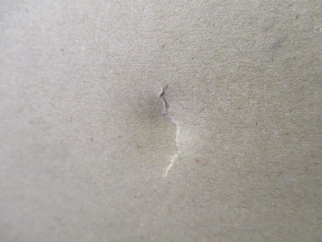 LEDランプユニット(昼白色) LDFS99N-H-E39/ST