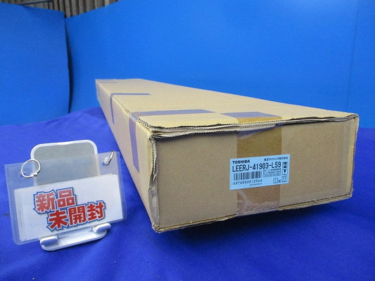 LED非常用照明器具 本体のみ(新品未開梱)(24年製) LEERJ-41903-LS9