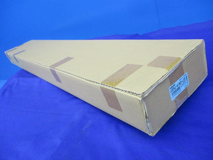 LED非常用照明器具 本体のみ(新品未開梱)(24年製) LEERJ-41903-LS9