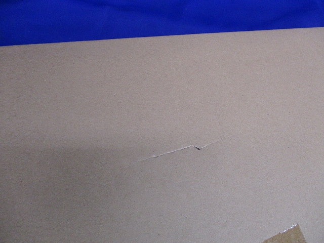 LED非常用照明器具 本体のみ(新品未開梱)(24年製) LEERJ-41903-LS9