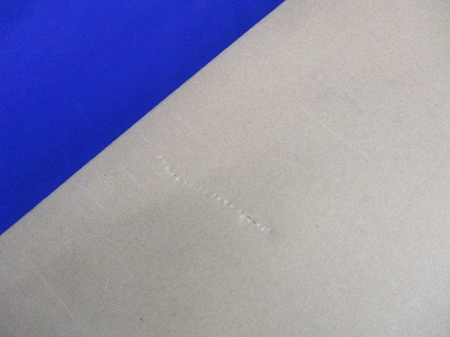 LED非常用照明器具 本体のみ(新品未開梱)(24年製) LEERJ-41903-LS9