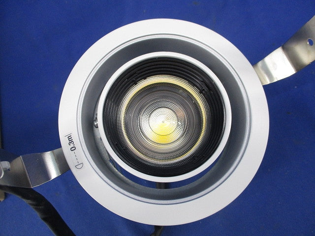 LEDダウンライトφ100(白色)(電源ユニット別売) NTS61131W