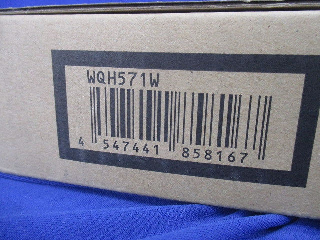 住まいるサポ3:5通話副親機(露出型)(電気錠釦付) WQH571W