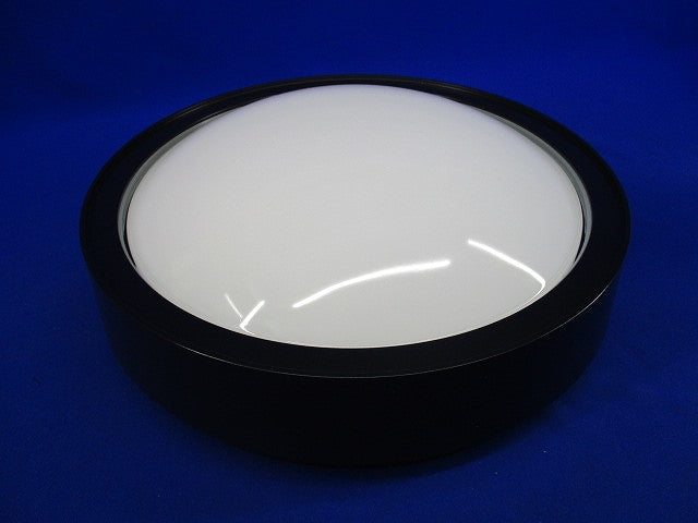 LED非常用シーリング階段灯(昼白色)(20年製) NWCF11500LE1