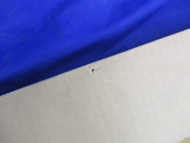LED非常用階段通路誘導灯(昼白色)(新品未開梱)(18年製) EL-LFVH4301/31HJ