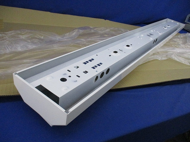 LED非常用ベースライト 階段通路誘導灯(昼白色)(24年製) NNCF42135LE9