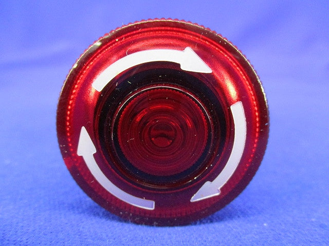 φ25照光押しボタンスイッチ AVLS