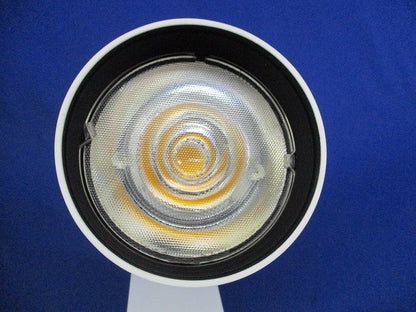 LEDスポットライト(温白色) LEDS-20113WW-LS1