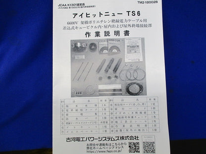 アイヒット TS6