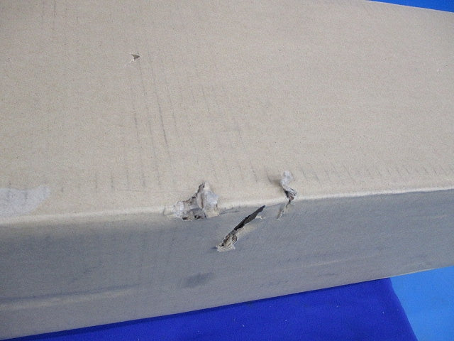 LED非常用照明器具本体(23年製)(新品未開梱) LEETS-4301Y-LS